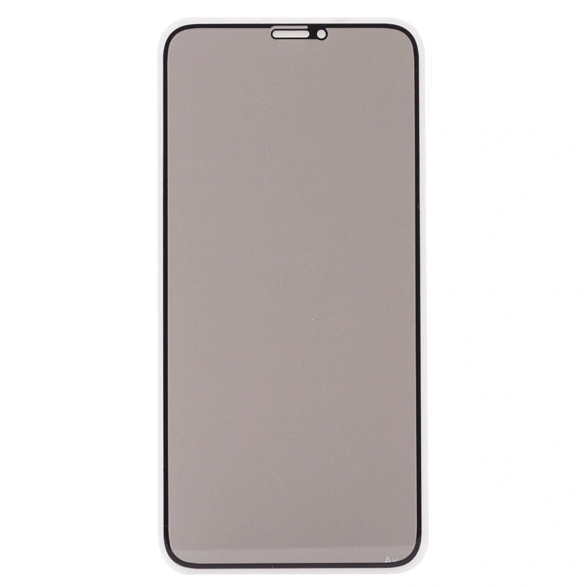 Защитное стекло - Приват 2.5D для Apple iPhone X/XS/11 Pro (black)